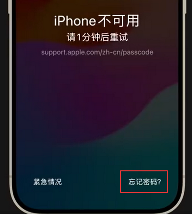 雷波苹果手机密码维修分享iPhone忘记了刚设置的密码 