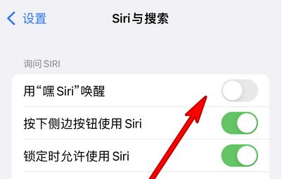 雷波苹果13维修分享iPhone 13怎么唤醒 Siri  